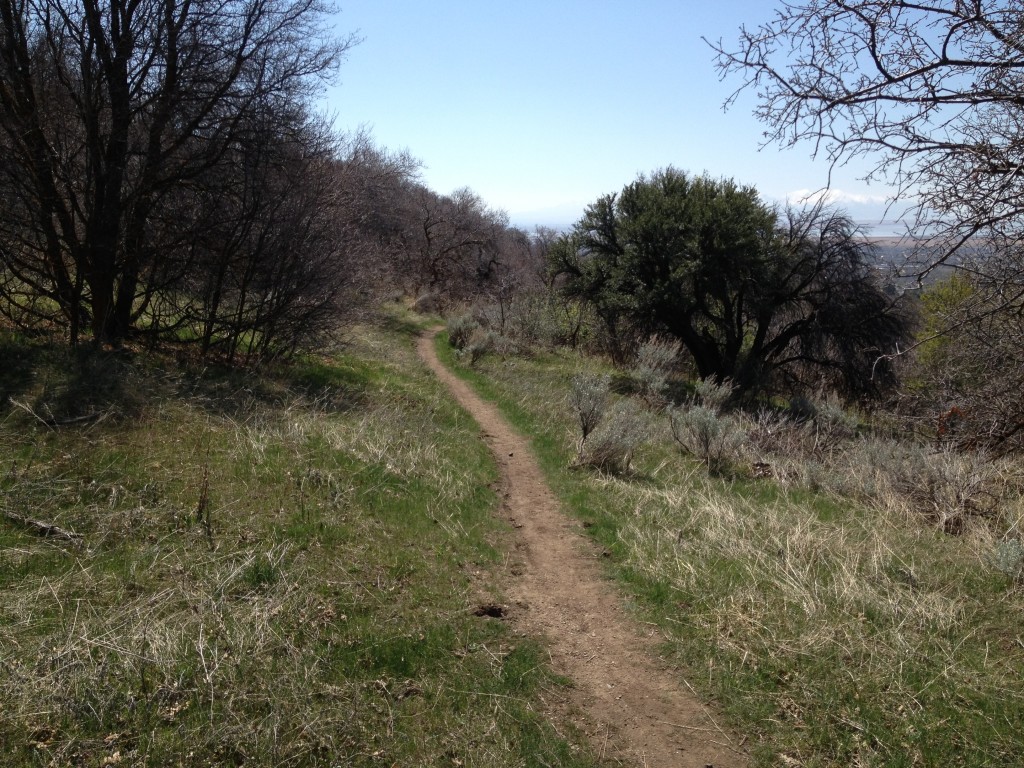 Kaysville East Mountain Wilderness