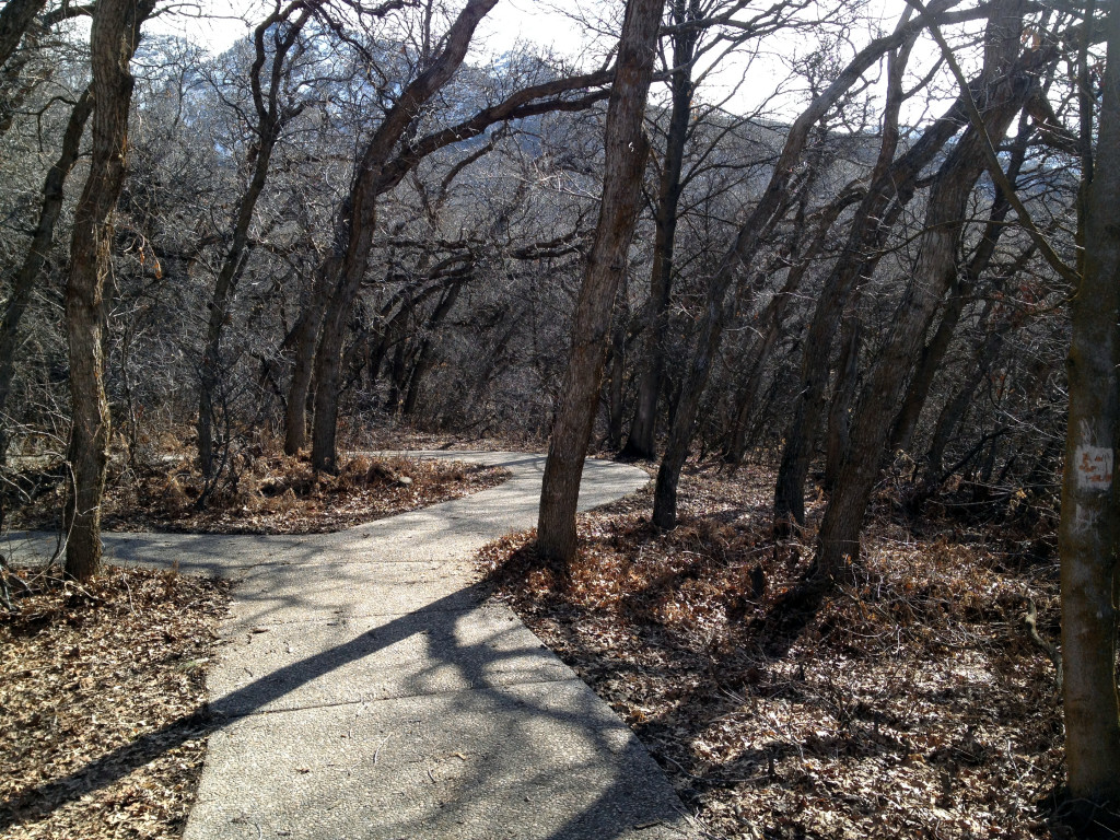 Fernwood Picnic Area