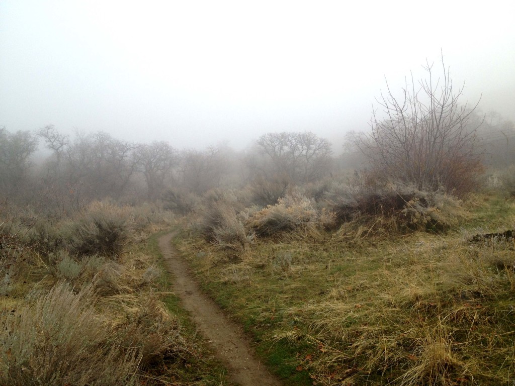 East Mountain Wilderness