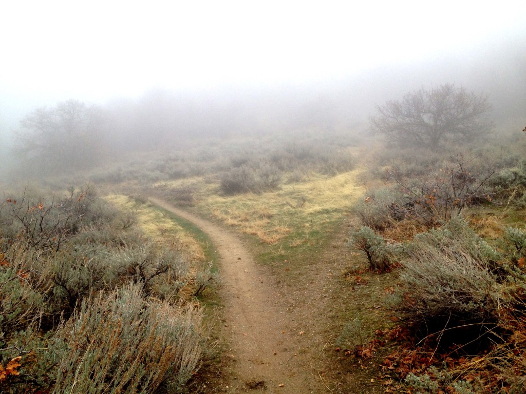 East Mountain Wilderness