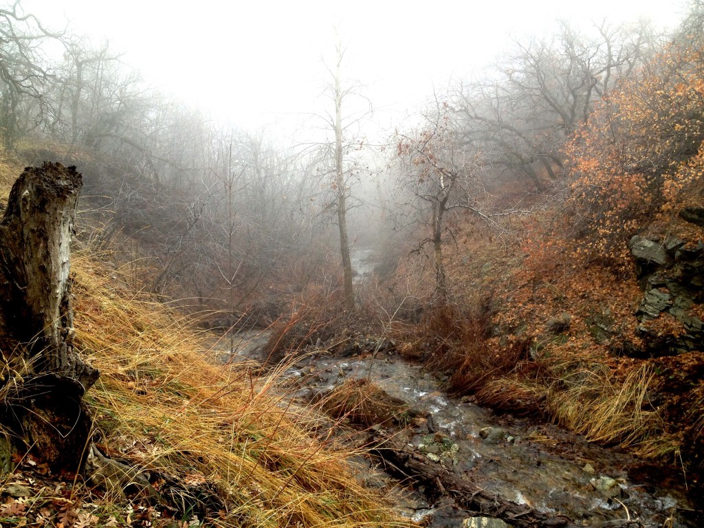 East Mountain Wilderness