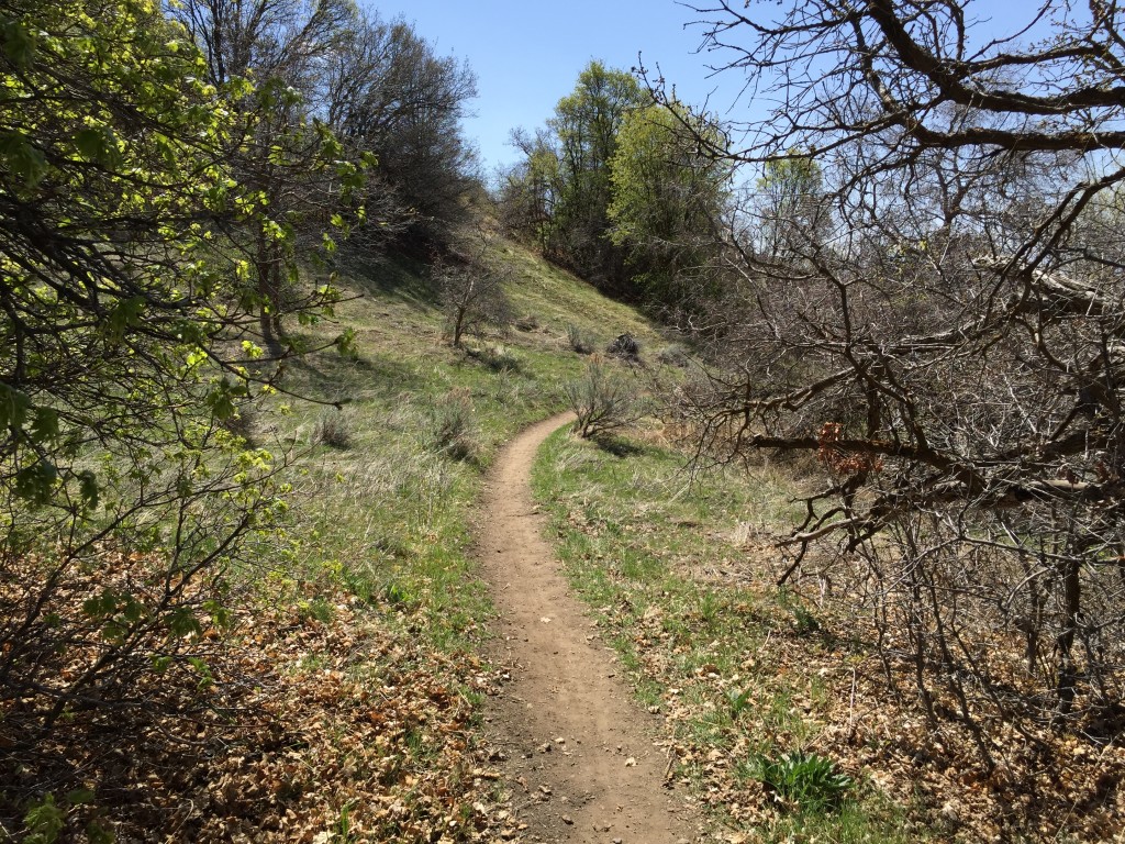 East Mountain Wilderness Park