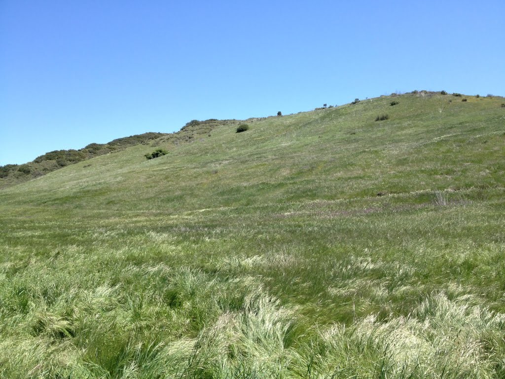 Los Penasquitos Canyon Preserve