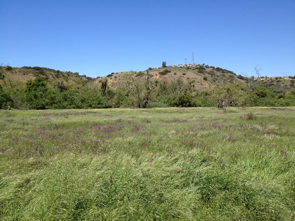 Los Penasquitos Canyon Preserve