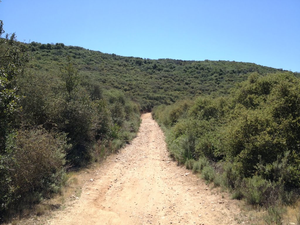 Los Penasquitos Canyon Preserve