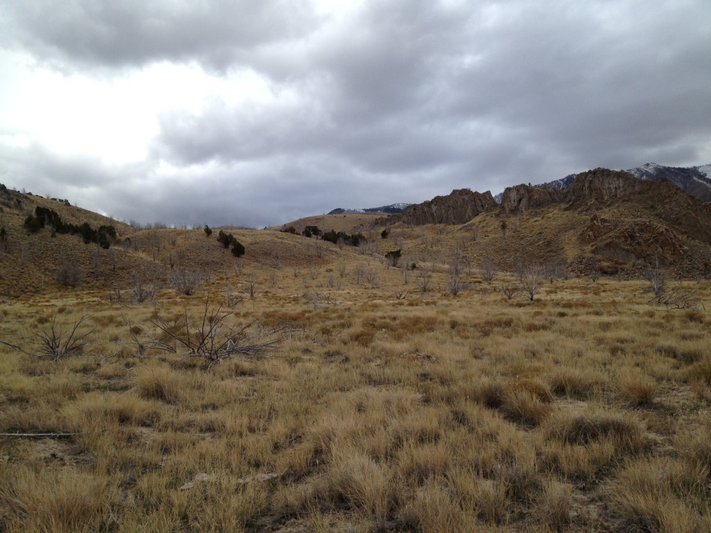 Timpie Valley Utah