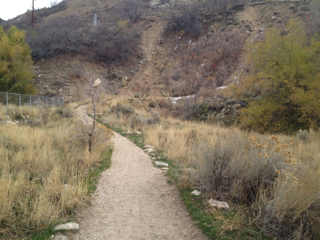 Trail is nice and wide at the beginning