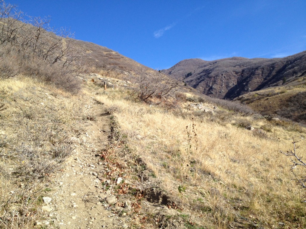 The trail is clear and visible