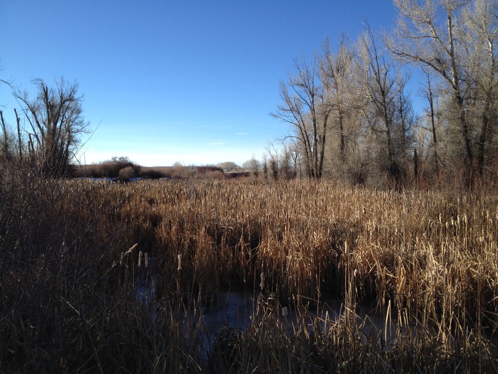 Bear River Greenway