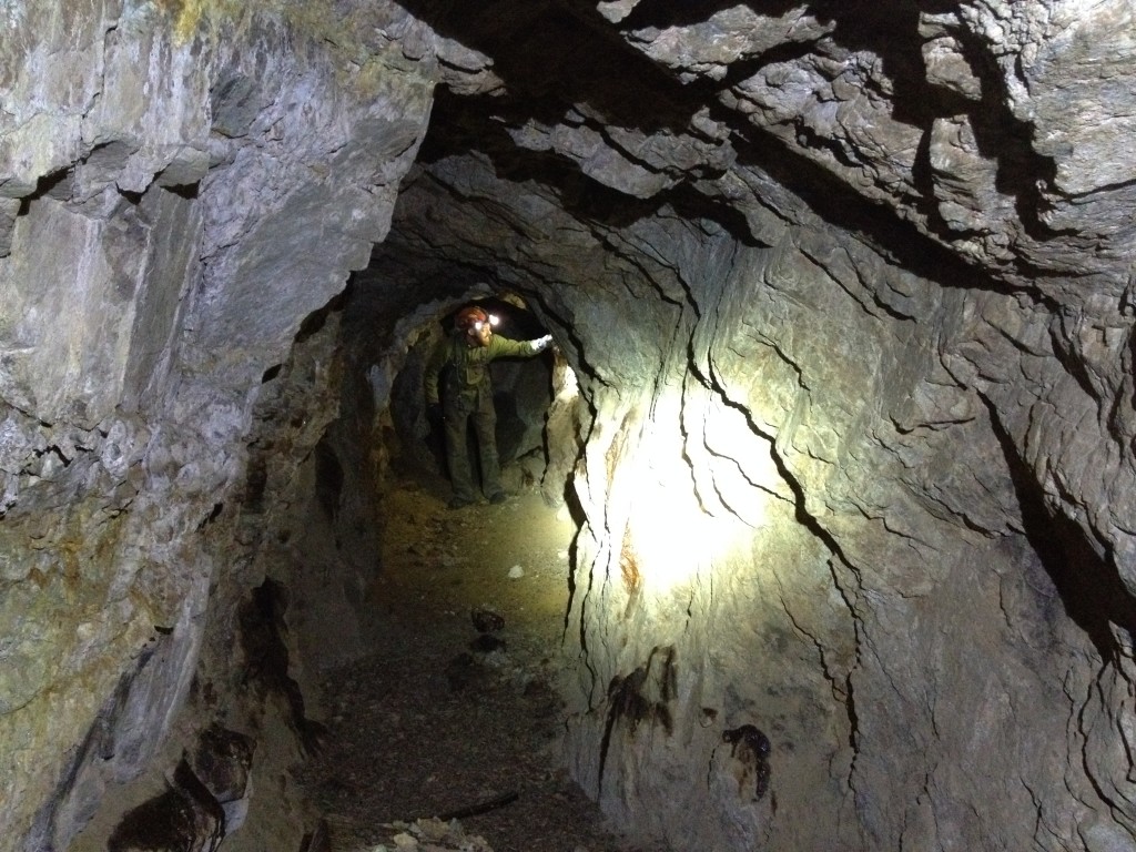 Inside the short shaft