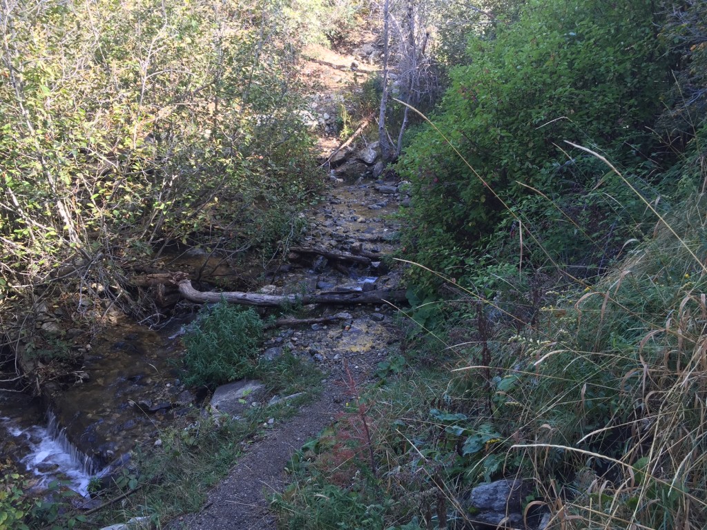Third creek crossing