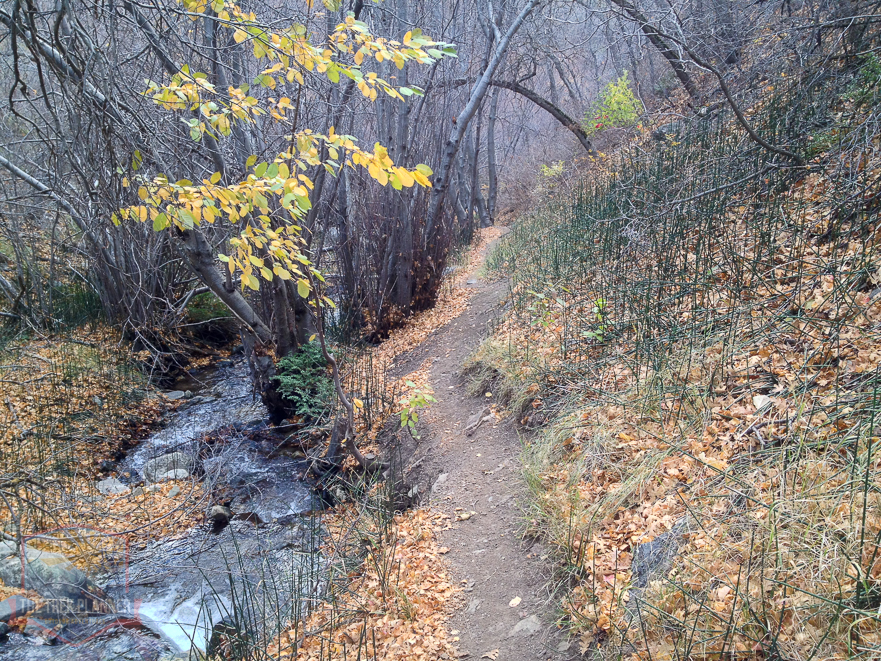 Deuel Creek – Centerville Utah