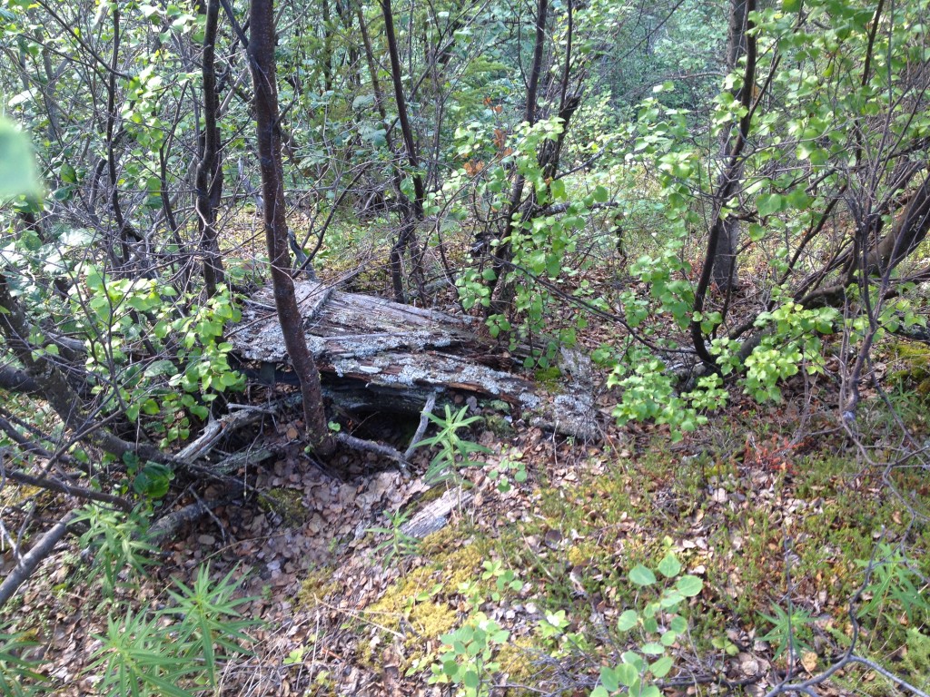 Denali South Mine