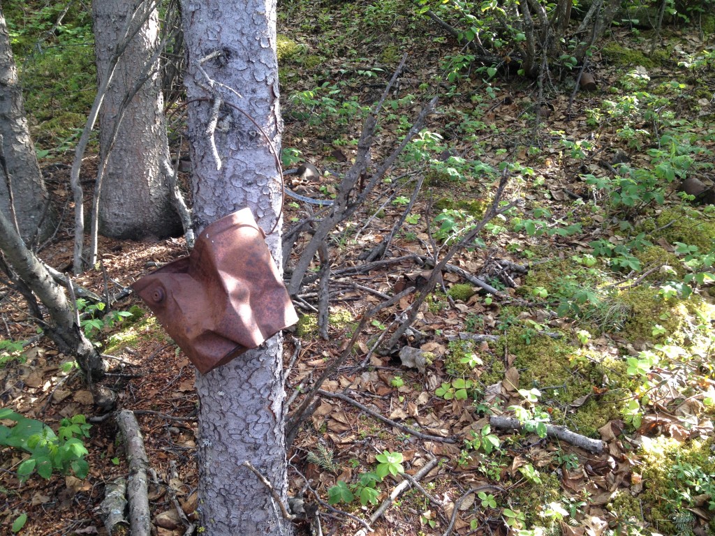 A bucket still in its original spot hanging from a tree