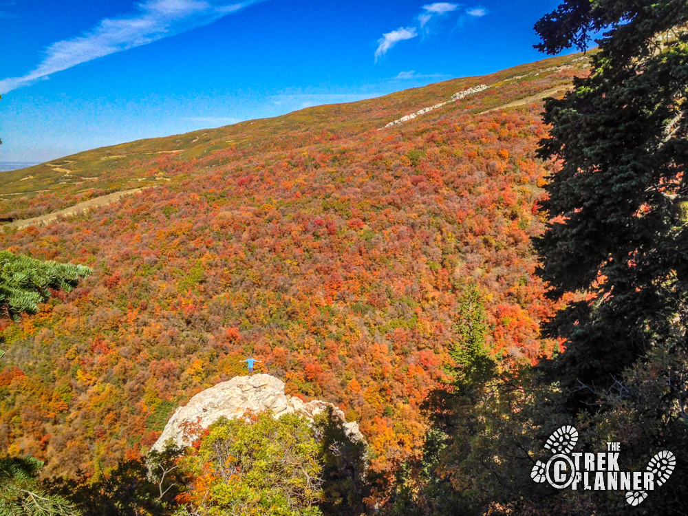 Elephant Rock – Mueller Park – Bountiful, Utah