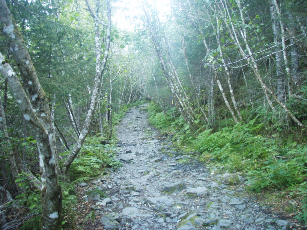 Tonsina Creek Seward Alaska