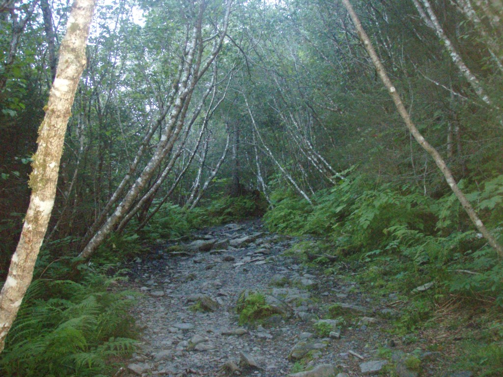 Tonsina Creek Seward Alaska