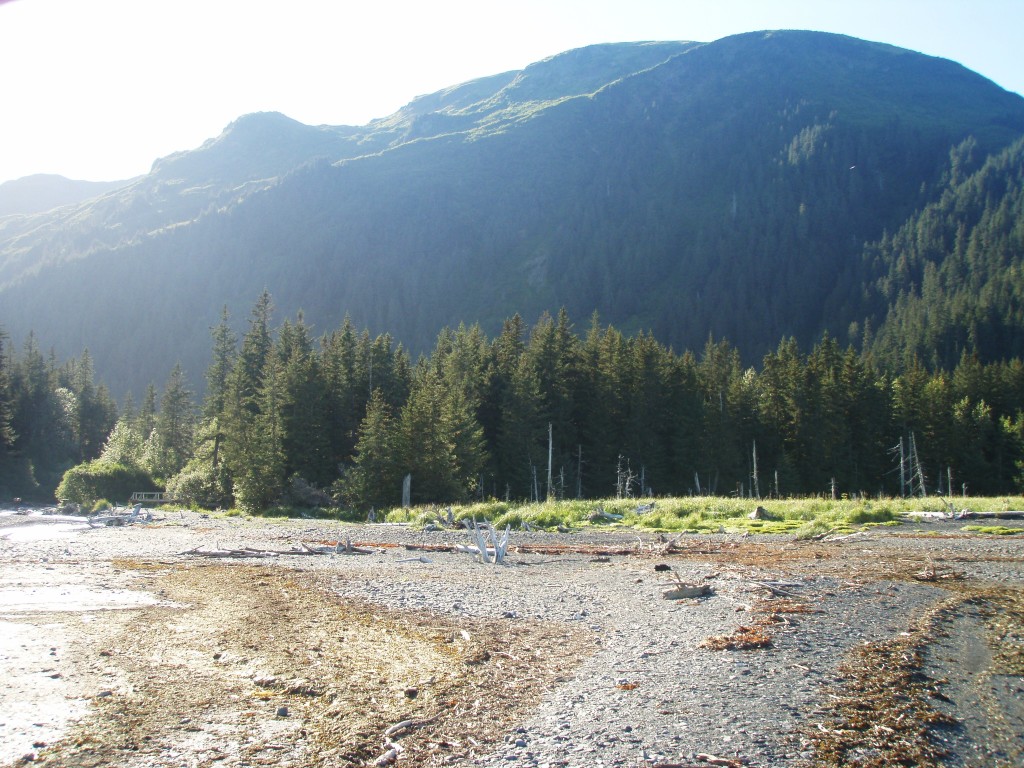 Tonsina Creek Seward Alaska