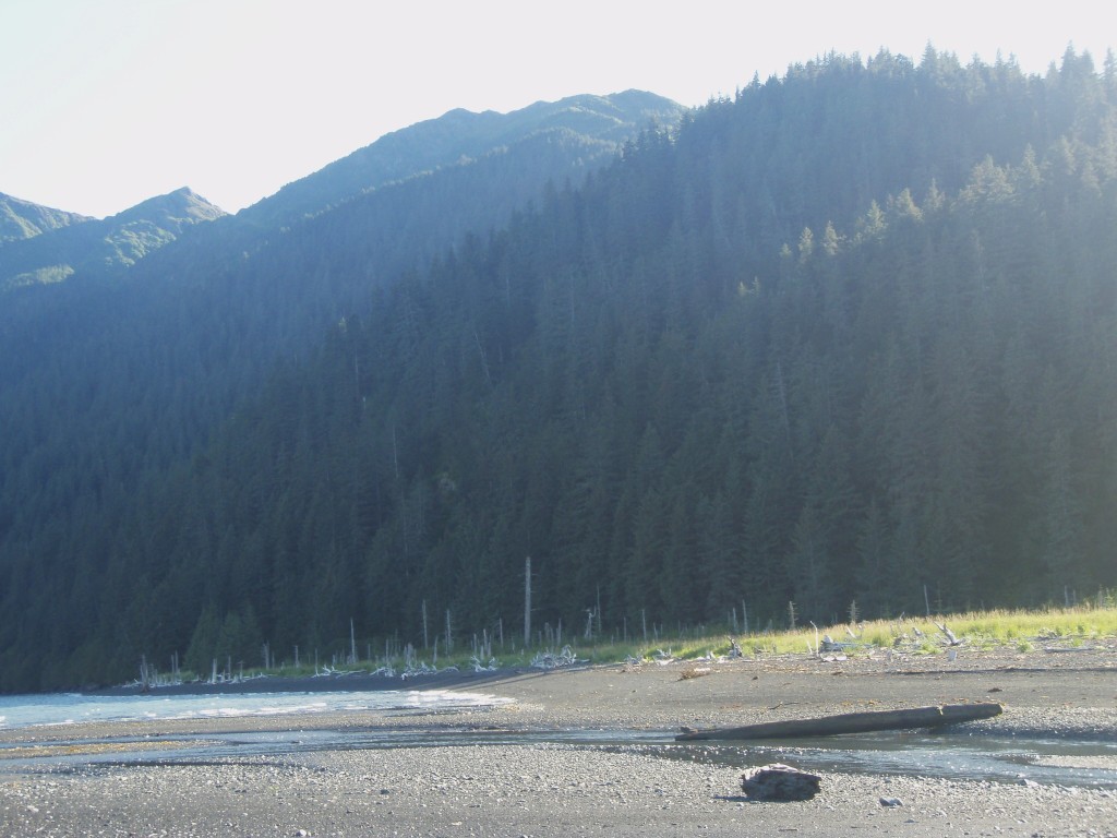 Tonsina Creek Seward Alaska