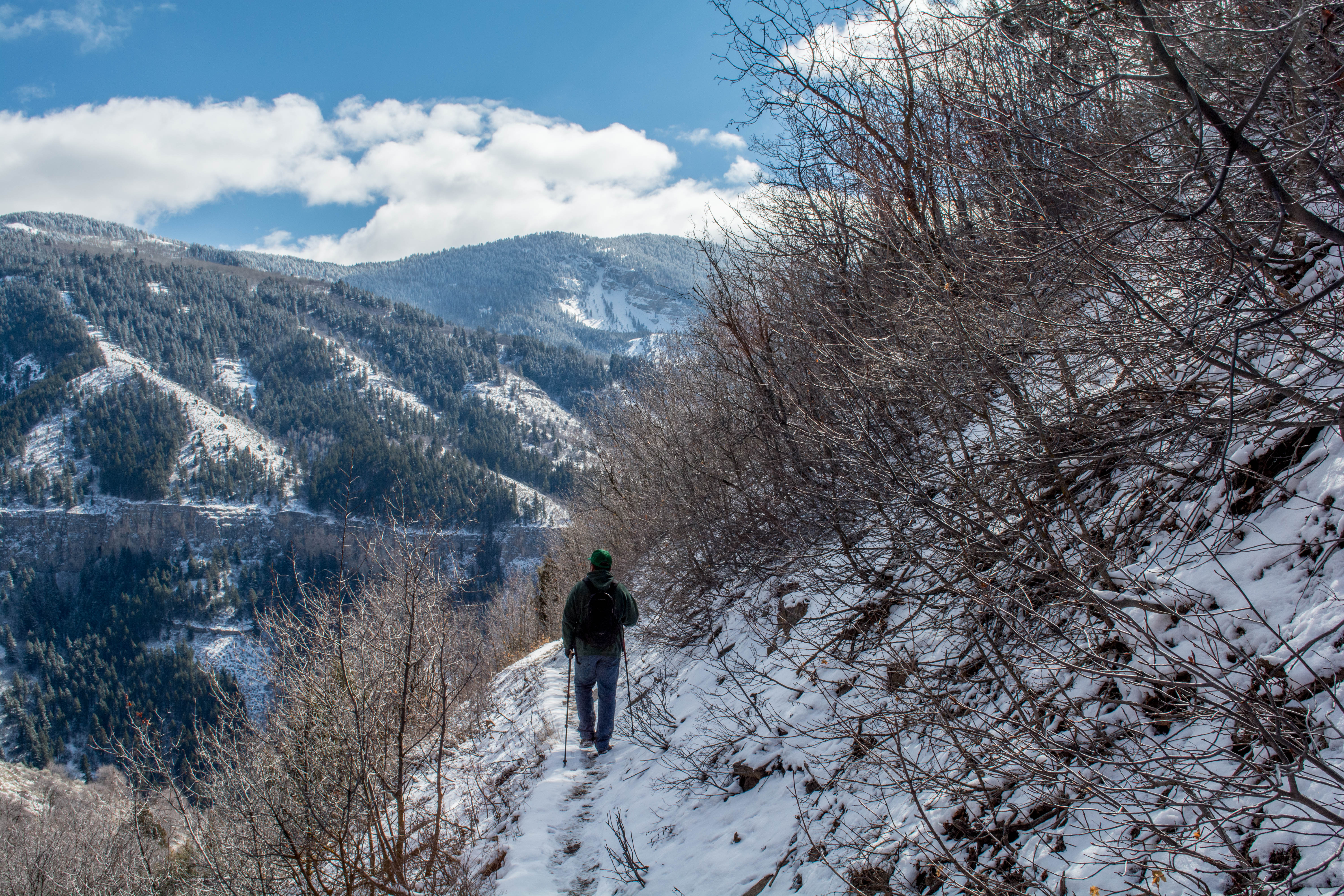 Wind Cave Trail Logan Canyon The Trek Planner