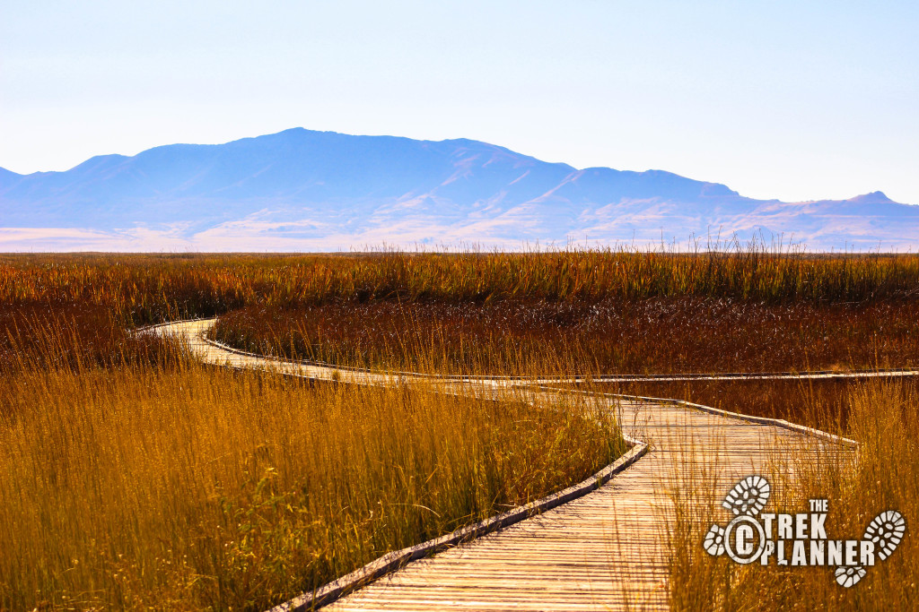 Great Salt Lake Shorelands Preserve