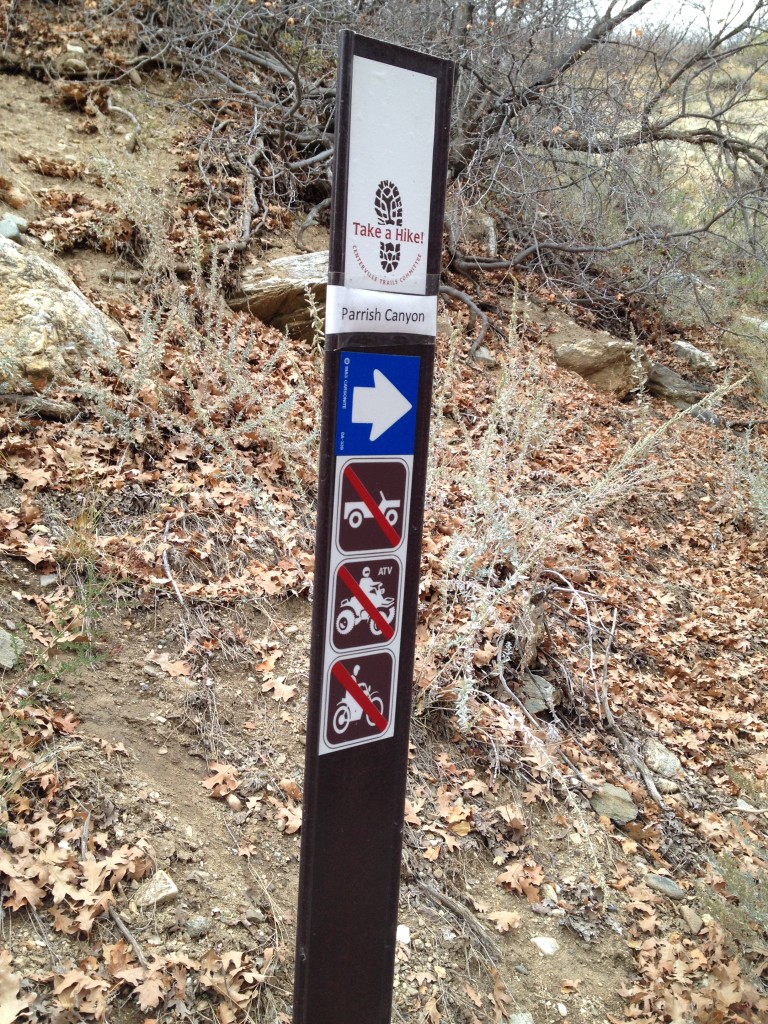 Parrish Creek Pictographs