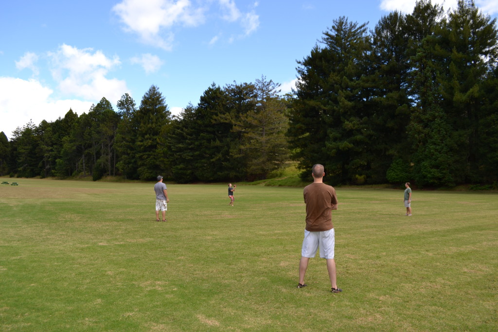 Kanaloahuluhulu Meadow