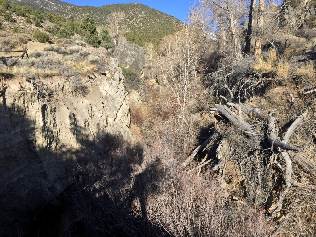 The creek is located down below the picnic area on the north side