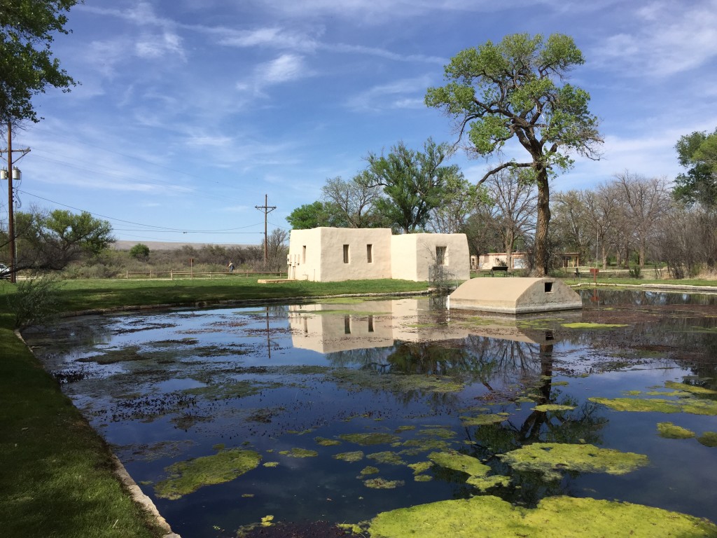 Rattlesnake Springs