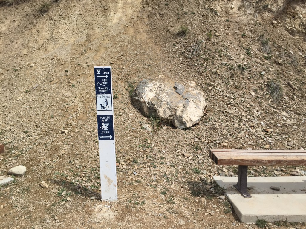 A bench and sign post