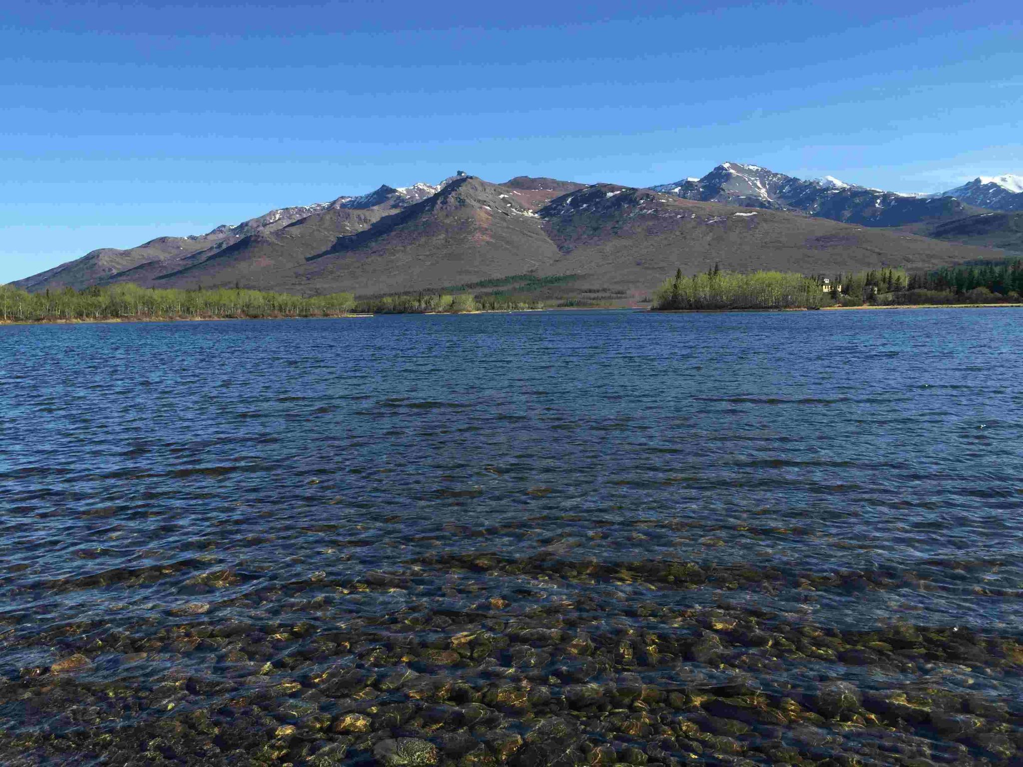 Otto Lake – Healy Alaska