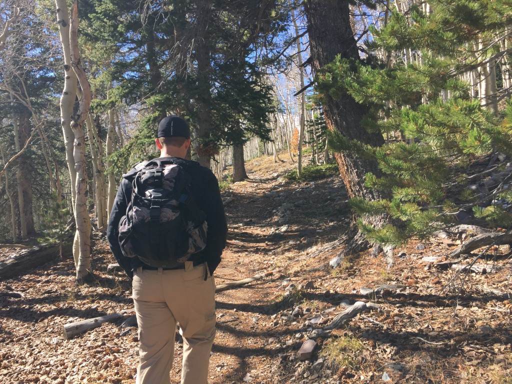 Wheeler Peak