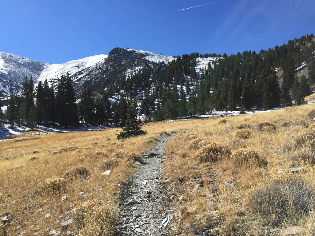 Wheeler Peak