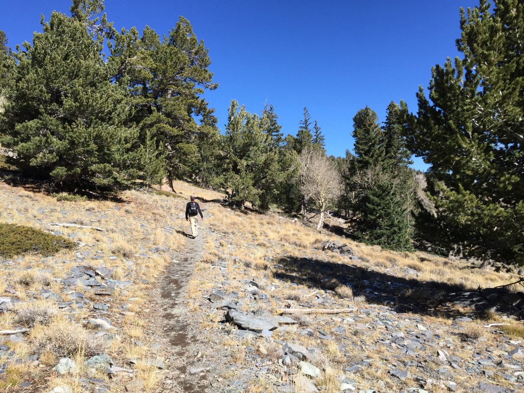 Wheeler Peak