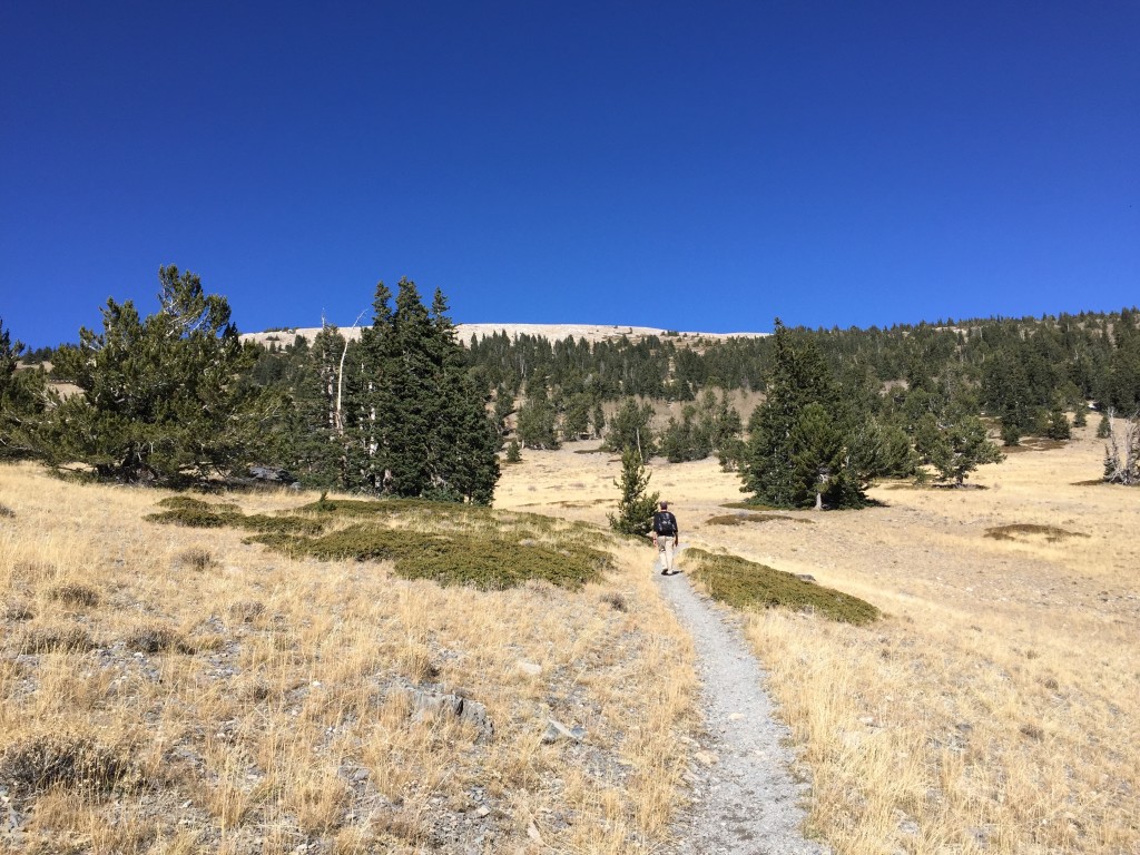 Wheeler Peak