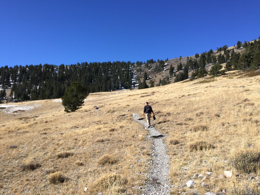 Wheeler Peak