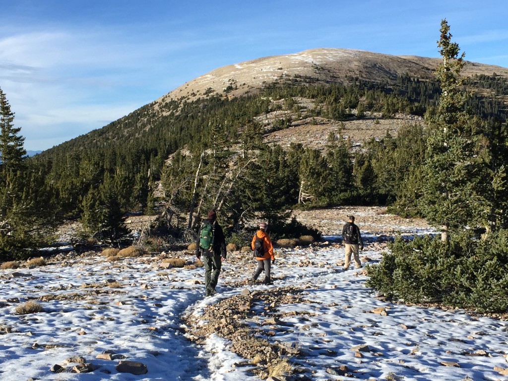 Wheeler Peak