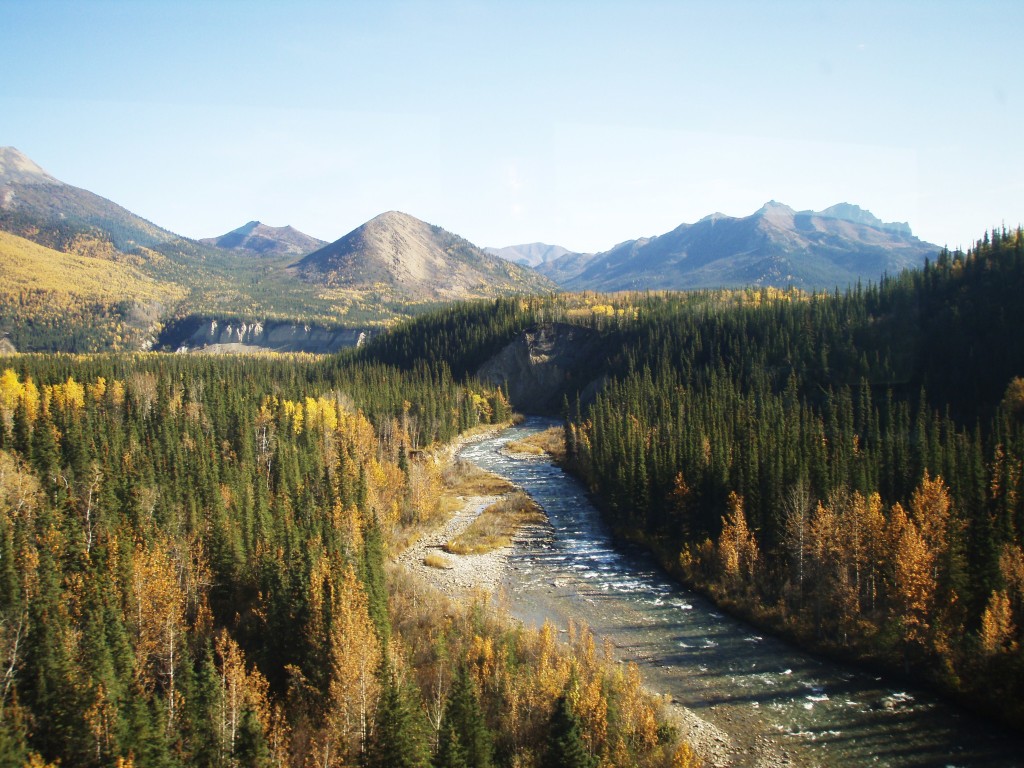 Alaskan Railroad Adventure