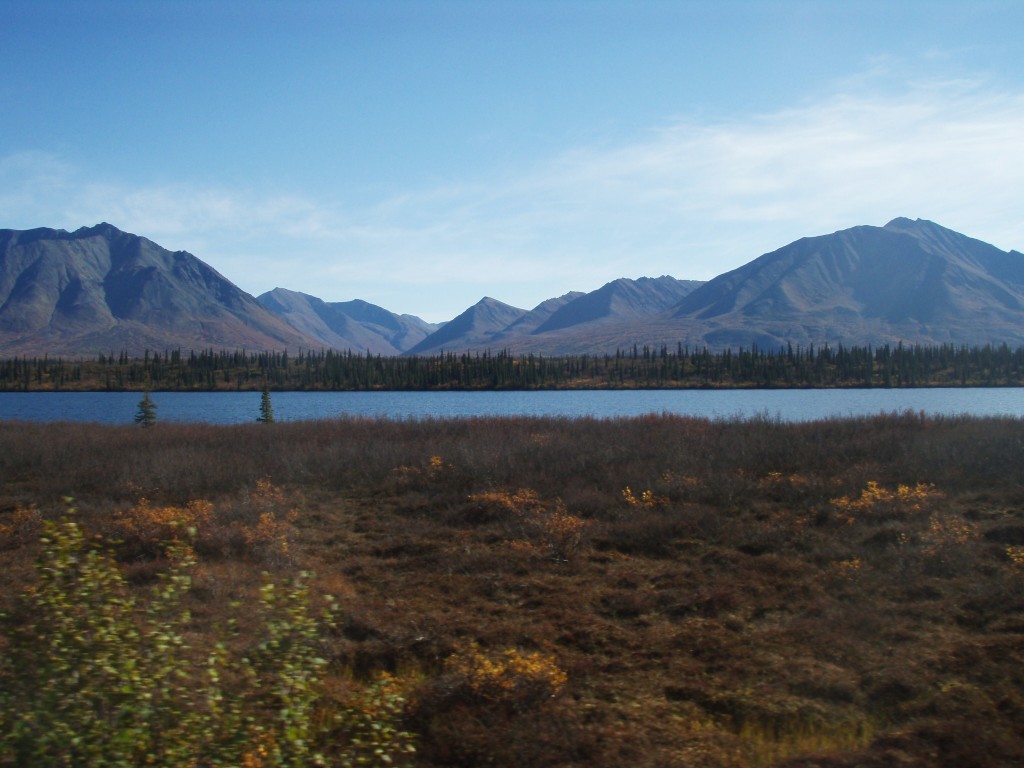 Alaskan Railroad Adventure