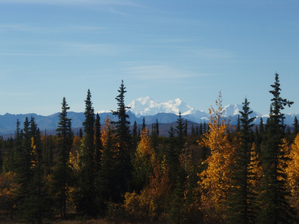 Alaskan Railroad Adventure