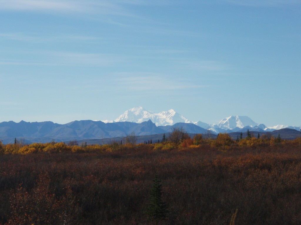 Alaskan Railroad Adventure