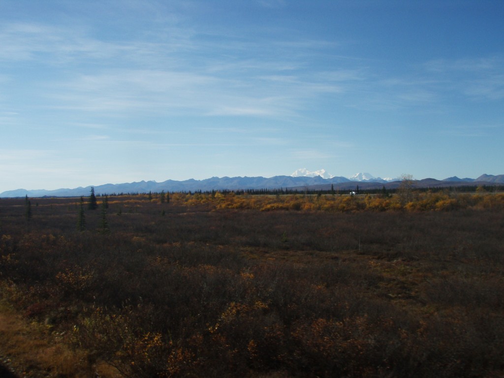 Alaskan Railroad Adventure