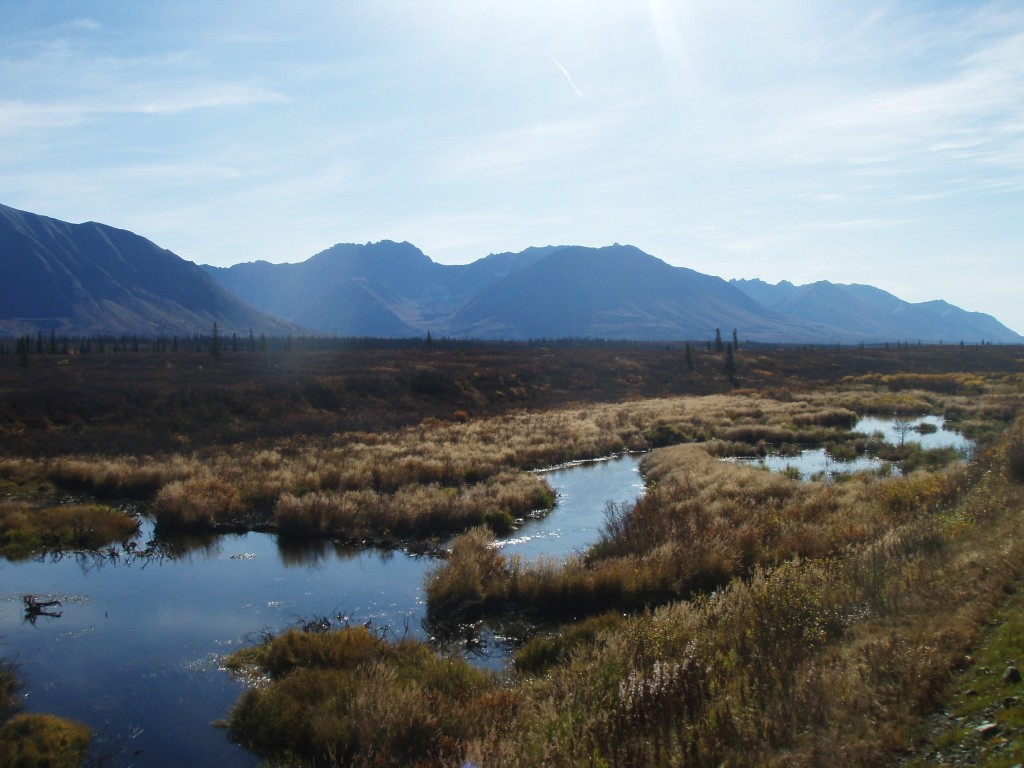 Alaskan Railroad Adventure