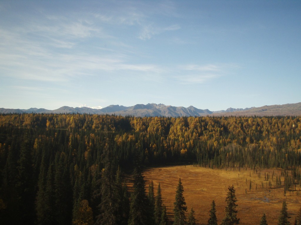 Alaskan Railroad Adventure