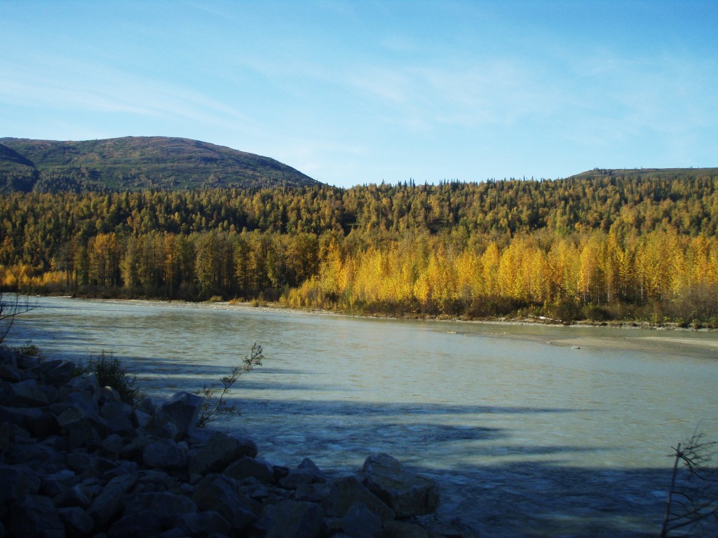 Alaskan Railroad Adventure