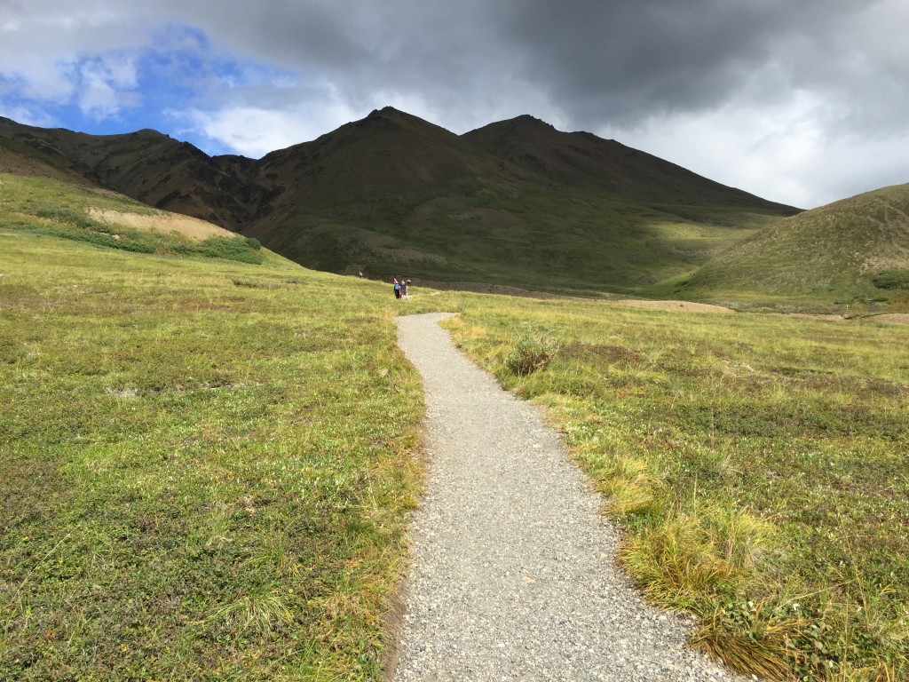 Alpine Trail Denali National Park