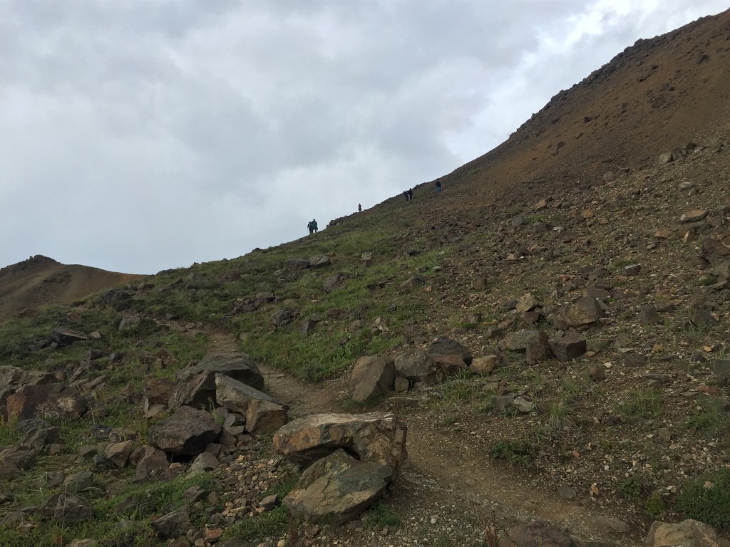 Alpine Trail Denali National Park