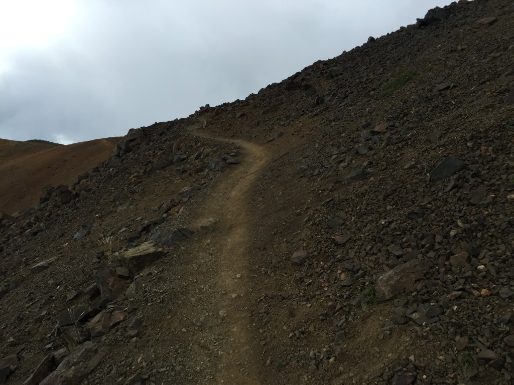 Alpine Trail Denali National Park