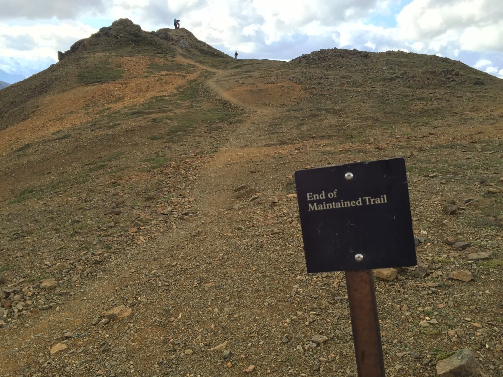 Alpine Trail Denali National Park