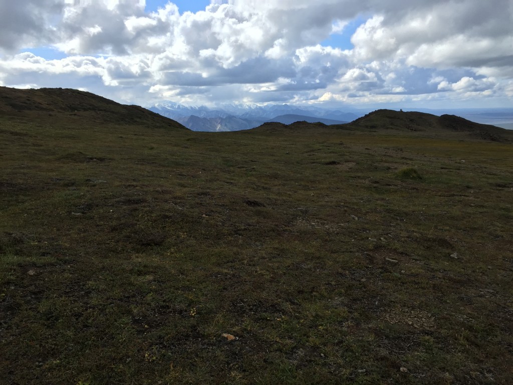 Alpine Trail Denali National Park